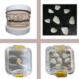 Il laboratorio dentario trasparente foggia il contenitore di plastica elastico di dente di Membrance per la protesi dentaria